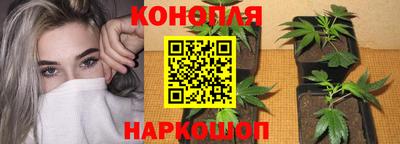 хмурый Заводоуковск