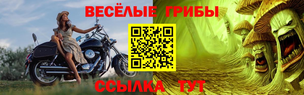 Мефедрон  Новоалтайск  Мефедрон   Вход с VPN  ГАШ  Марихуана  COCAIN 