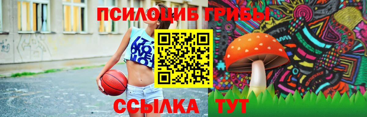 Новоалтайск  Галлюциногенные грибы Psilocybe  Вход с VPN 